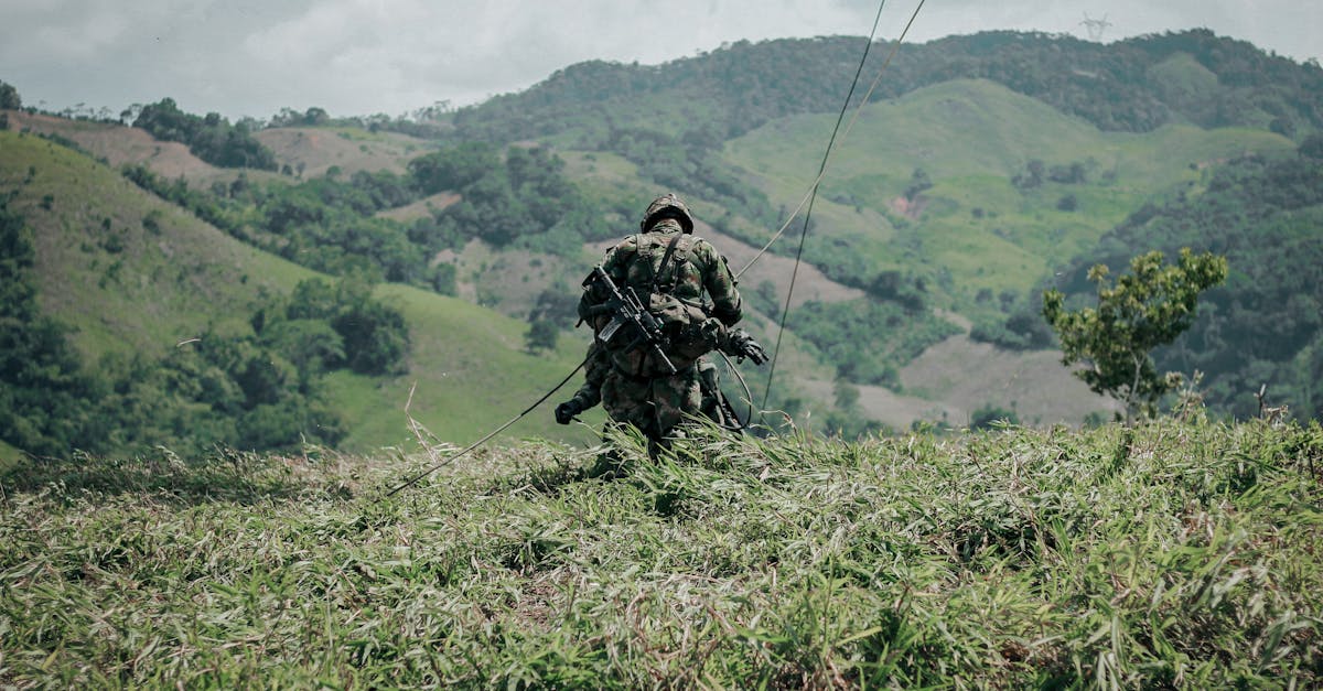 极光实名账号:凤凰知音app详情下载教程