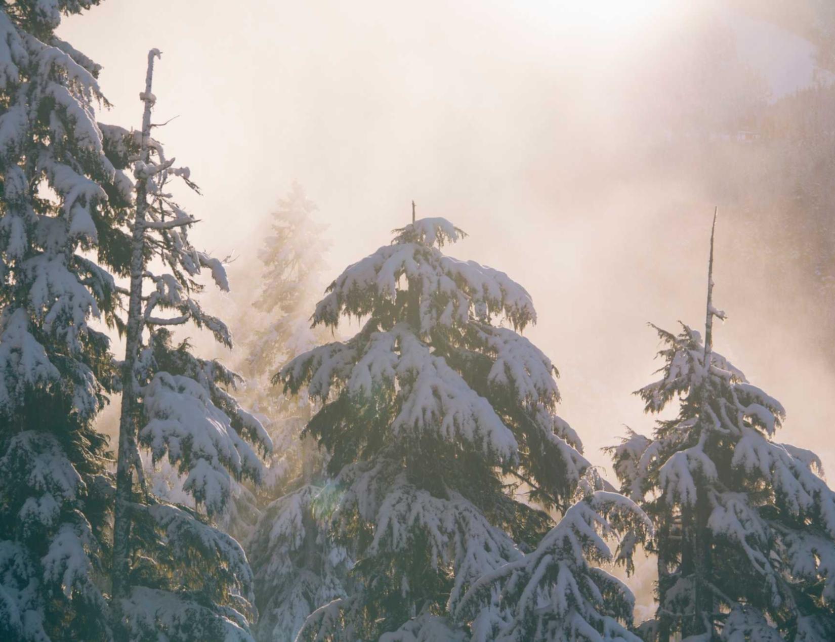 蜗牛移动实名账号：滋力app详情下载教程