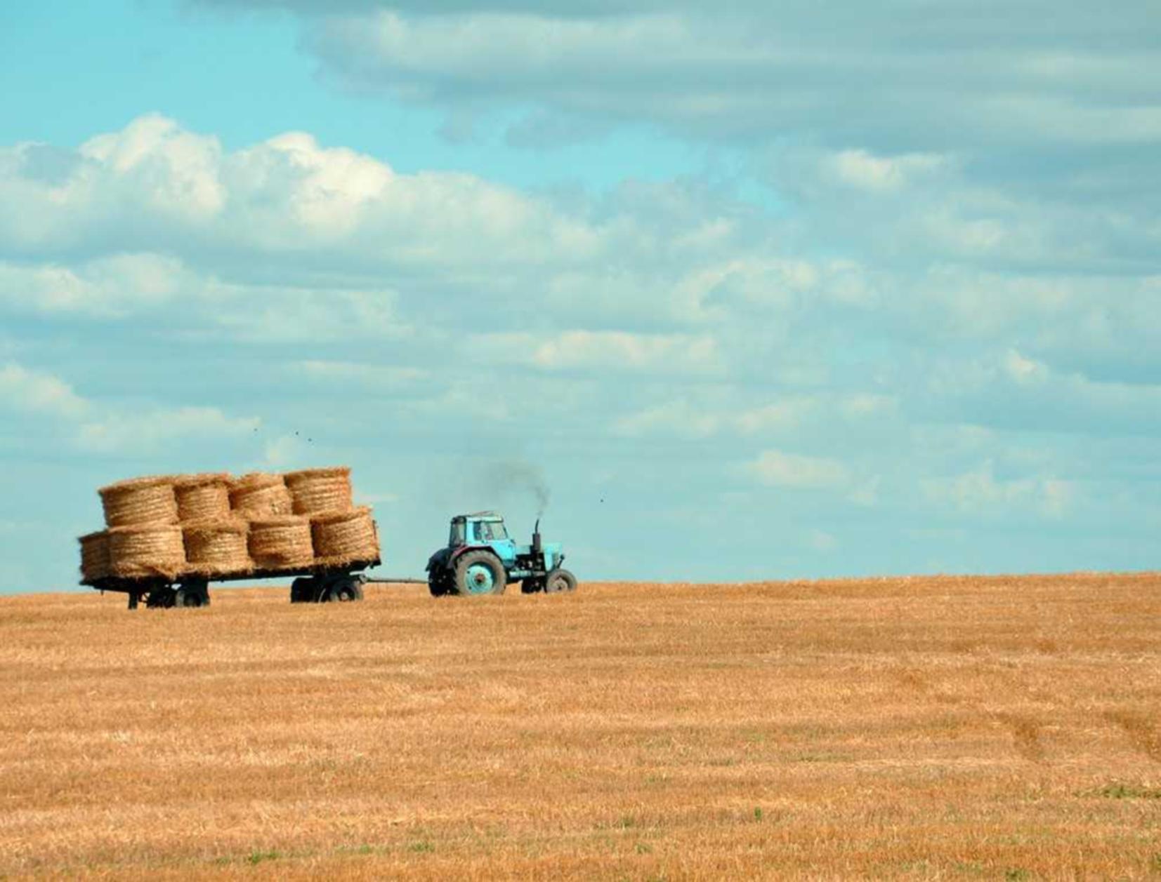 丽晶国际实名账号：实名认证提高电子化政务服务的质量 