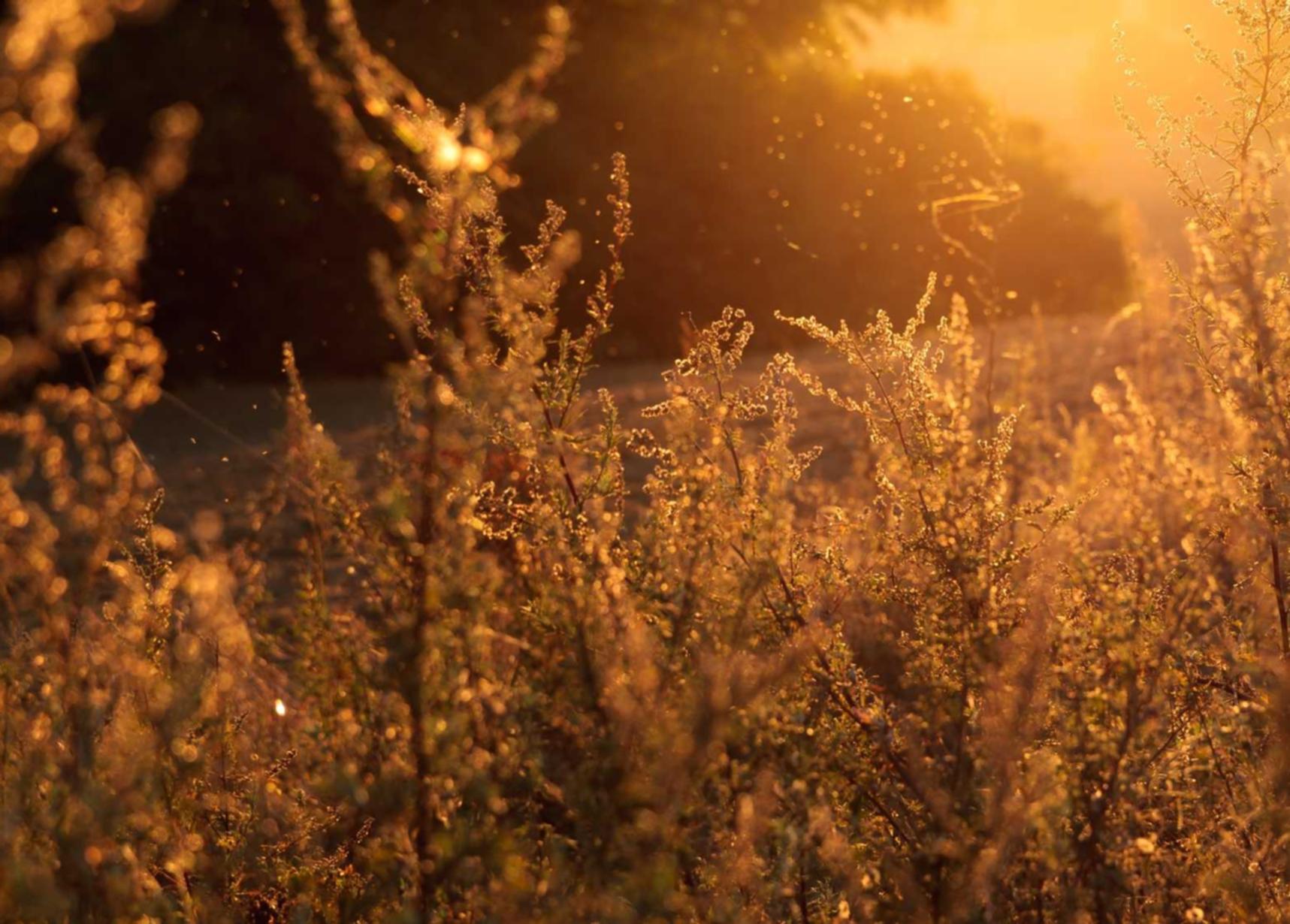 忙碌的人怎么戒烟？一些简单的贴士