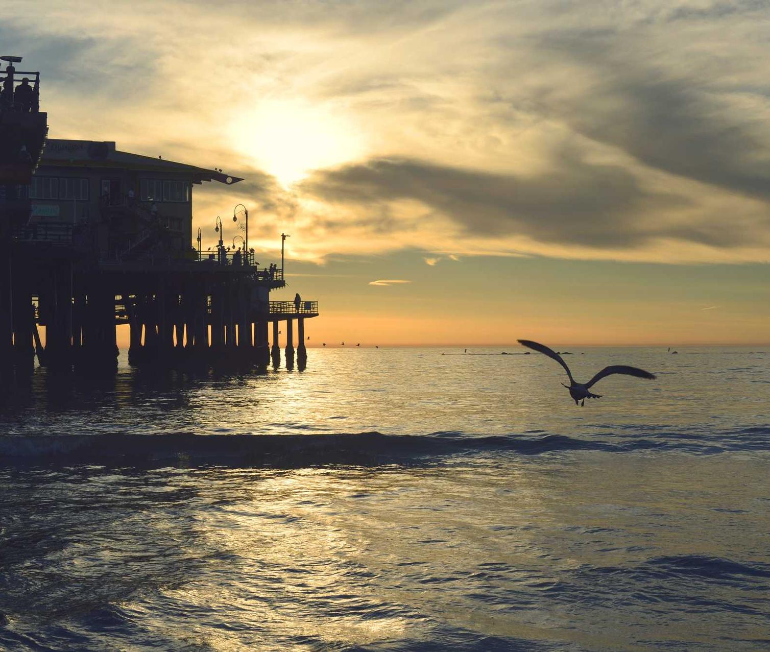 如何识别游戏中的技术支持辅助人员