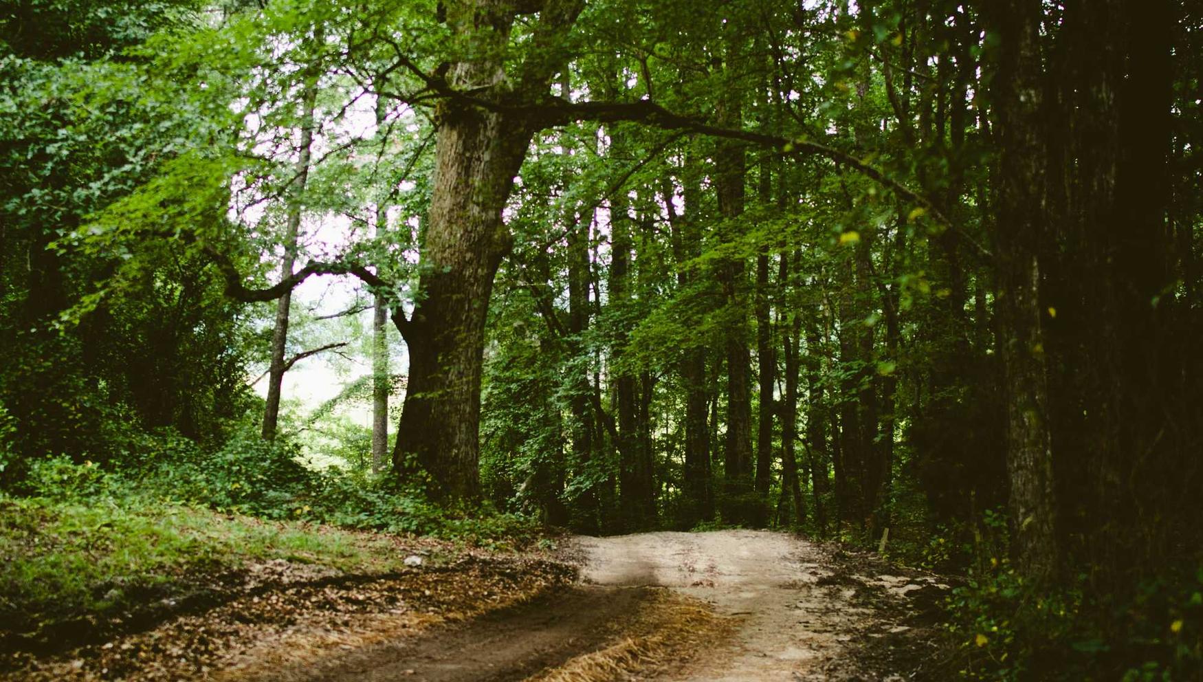 FIFA 23：详情下载教程解用app