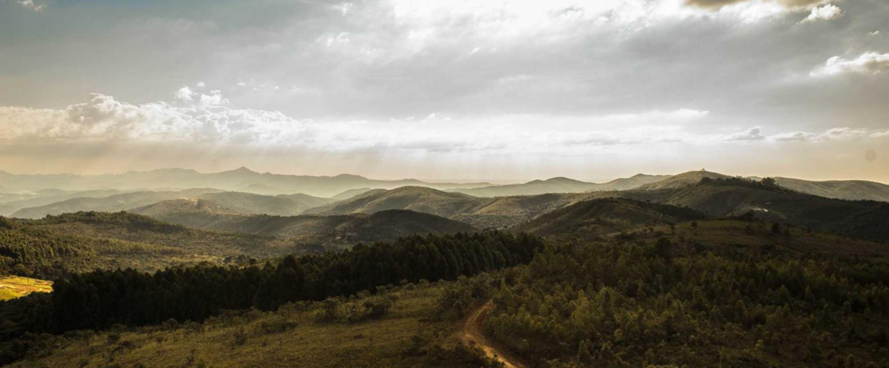 解读美国遭遇DDOS攻击- 飞腾物流app详情下载教程