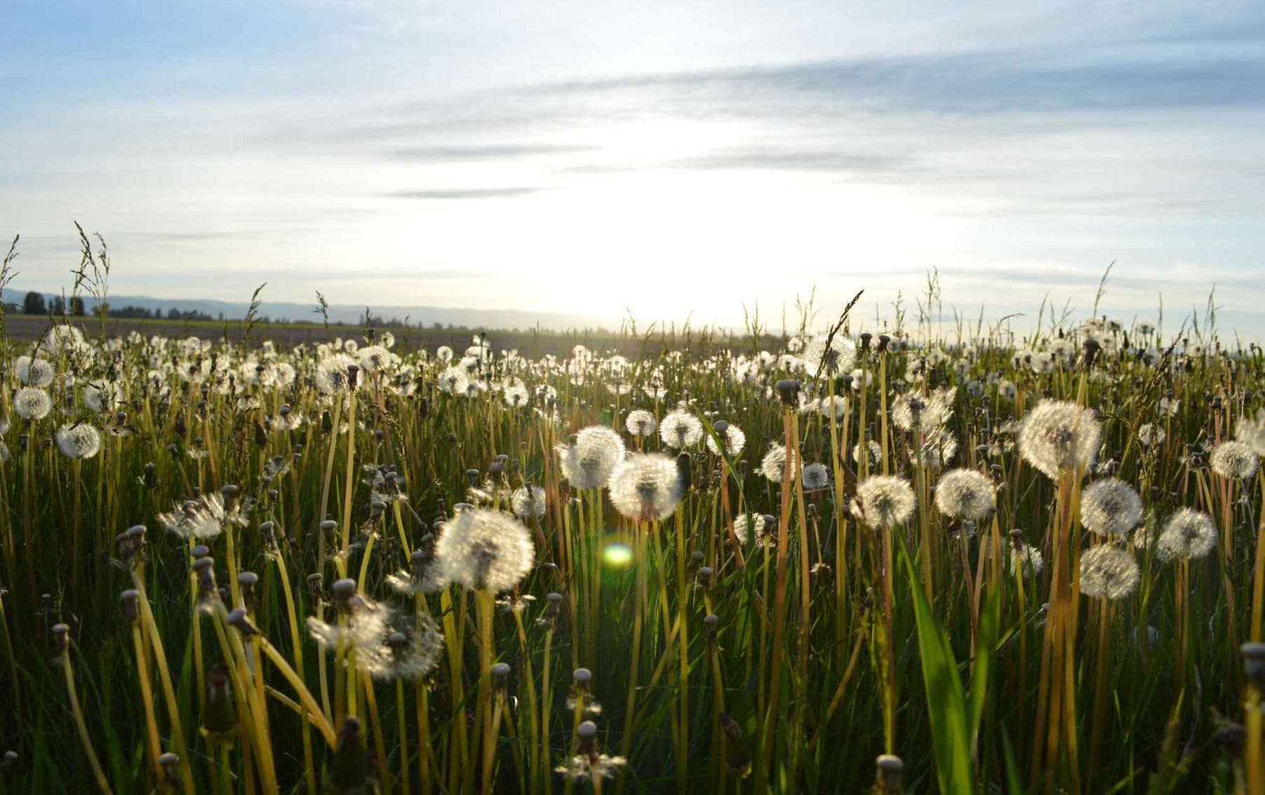 技术支持辅助与游戏的社交功能分析 
