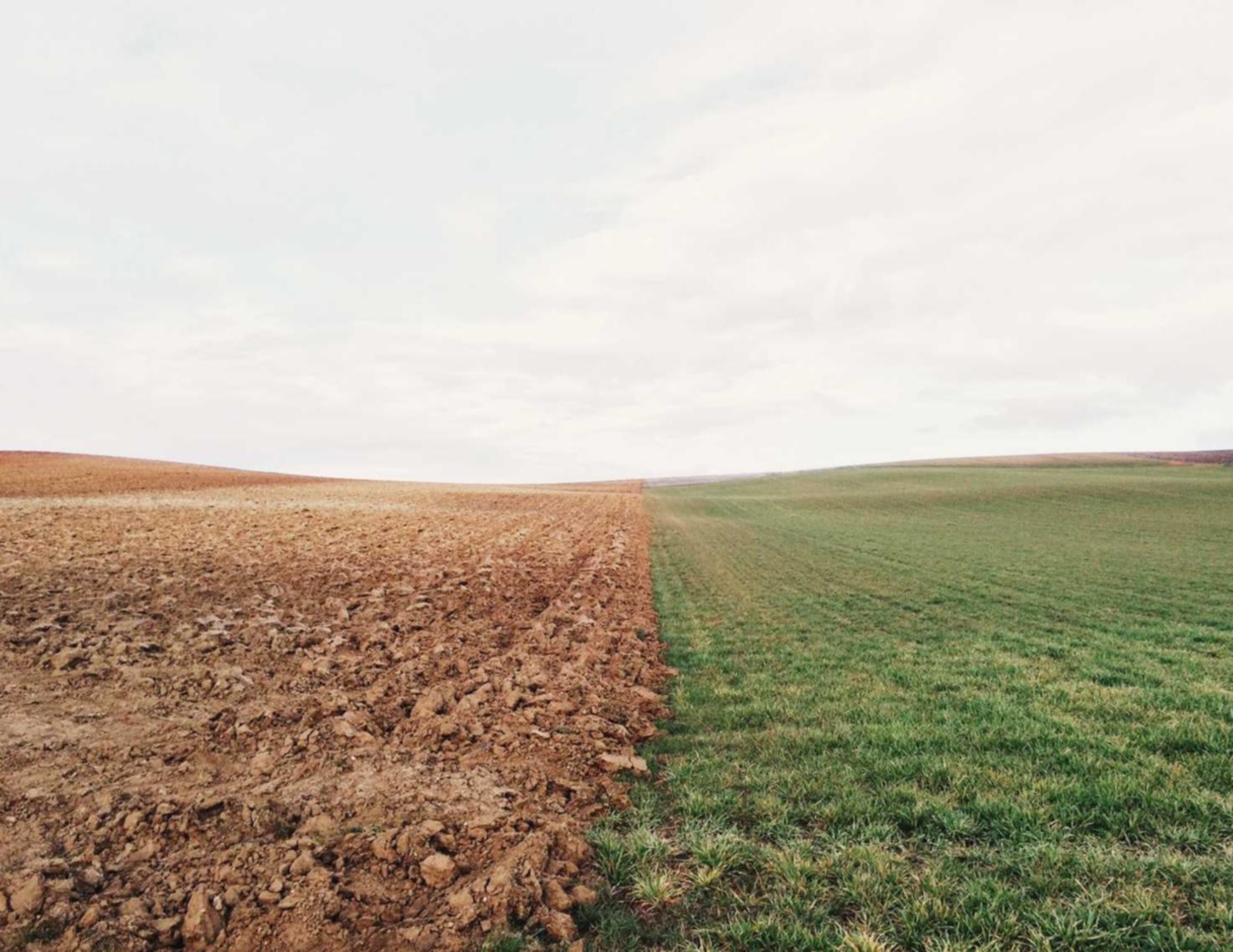 铁盒云斯顿蓝莓爆珠：敦煌网平台代理